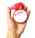 Picture of LiPS-4 Folding Mirror