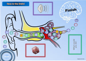 Picture of Race to the Brain Game